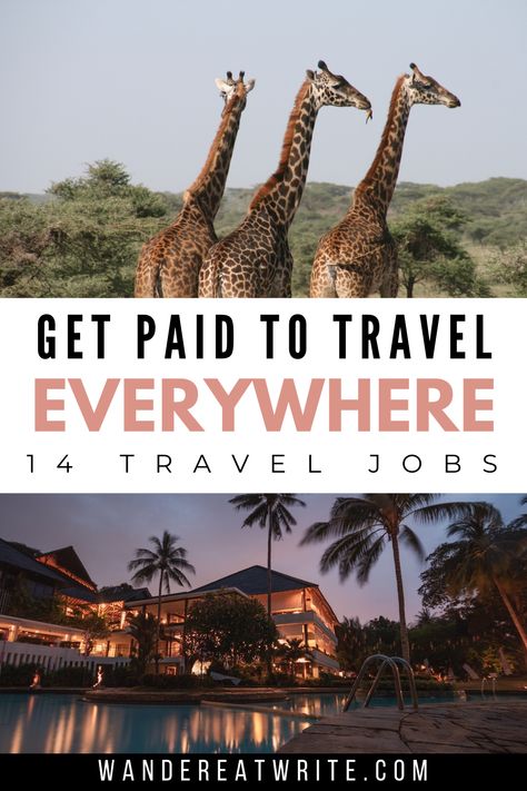 Text: Get paid to travel everywhere: 14 travel jobs; top photo: three giraffes in africa; bottom photo: night view of luxury resort with pool and palm trees Jobs To Do While Traveling, Working While Traveling, Work While Traveling, How To Be A Travel Blogger, Travel Jobs For Women, How To Become A Travel Influencer, Jobs That Pay You To Travel, Travel Jobs Career Ideas, How To Get Paid To Travel