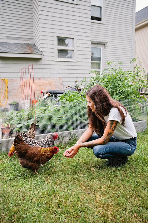 Dark Artsy, Feeding Chickens, A Quiet Life, Easy Animals, Quiet Life, St Pierre, Chicken Feed, Chicken Farm, Baby Chicks