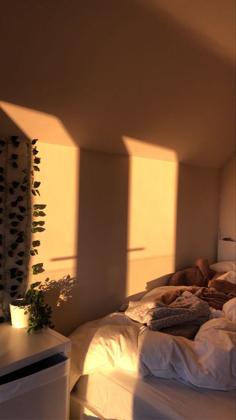 Sunshine Room Aesthetic, Yellow Lighting Aesthetic, Orange Bedroom Aesthetic, Bedroom Sunlight, Chill Room Aesthetic, Sun Aesthetics, Sunkissed Aesthetic, Manifesting Aesthetic, Beige Room