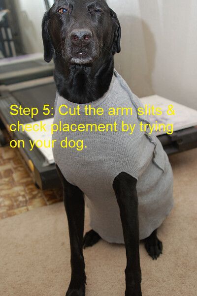 Doggie Shirt Repurpose Tutorial | Flickr Diy Dog Sweatshirt, Diy Dog Shirt From Tshirt How To Make, Tshirt To Dog Shirt Diy, Diy Dog Sweater From Old Sweater, Free Dog Onesie Sewing Pattern, Diy Dog Surgery Recovery Suit, Dog Spay Recovery Shirt Diy, Spayed Dog Recovery Shirt Diy, Dog Spay Recovery