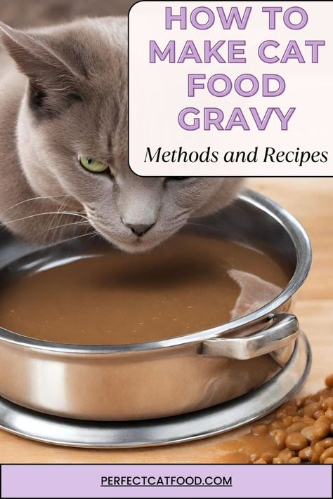 Cat Gravy Recipe, Make Cat Food, Perfect Gravy Recipe, Gravy Homemade, Homemade Cat Treats Recipes, Diy Cat Food, Healthy Cat Food, Homemade Cat Food, Cat Diet