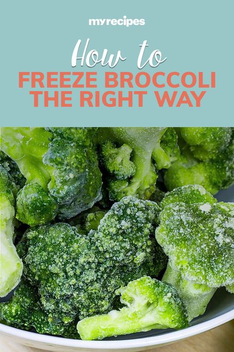 Freeze Broccoli How To, Freezing Fresh Broccoli, Freezing Broccoli How To, How To Freeze Fresh Broccoli, Can You Freeze Broccoli, Freezing Cauliflower, Freezing Broccoli, How To Freeze Broccoli, How To Prepare Broccoli