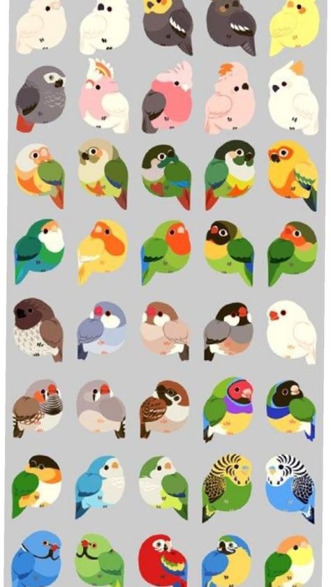 Birds Cute Drawing, Parrot Cute Drawing, Parrot Illustration Cute, Tiger Cute Drawing, Bird Cute Drawing, Bird Drawing Cute, Cute Birds Wallpaper, Cute Bird Wallpaper, Bird Illustration Cute