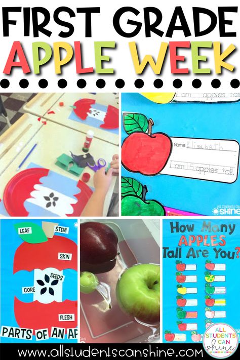 Looking for some great activities you can do during a first grade apple week? In this blog post, I share some of my favorite apple activities for first grade like apple crafts, an apple bulletin board, and labeling parts of an apple! Apple Day Classroom Transformation, Apple Stem Activities First Grade, Apple Lesson Plans For 1st Grade, Apple First Grade, September First Grade Activities, Apples By Gail Gibbons Activities, Johnny Appleseed Day First Grade, Apple Day Activities First Grade, Apples First Grade Activities