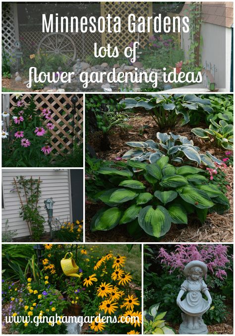 Saying Good-Bye To My First Minnesota Gardens - Gingham Gardens Zone 4 Flower Garden, Zone 4 Gardening Landscaping, Zone 4 Landscaping Front Yards, Minnesota Flower Garden Ideas, Zone 4 Shade Garden, Zone 4 Landscaping Ideas, Zone 4 Perennial Garden Layout, Zone 4 Landscaping, Zone 4 Gardening