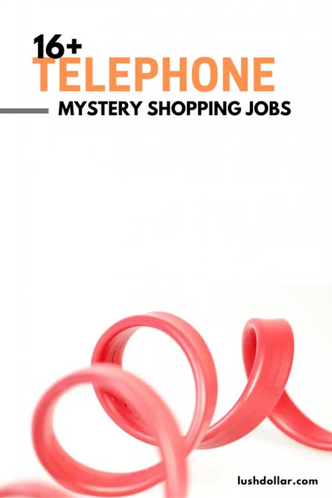 Mystery Shopper Jobs, Mystery Shopping Jobs, Mystery Shopping Companies, Hack My Life, Mystery Shopper, Work From Home Careers, Mystery Shopping, Best Mysteries, Show Me The Money