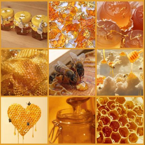 Bees Astethic, Honey Bee Mood Board, Bee Moodboard, Honey Core, Mango Moodboard, Apple Moodboard, Honey Moodboard, Mood Board Character, Bee Color Palette