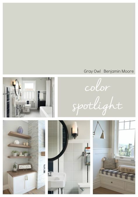 Benjamin Moore Gray Owl, Gray Owl Paint, Benjamin Moore Grey Owl, Color Spotlight, Living Room Colour Schemes, Benjamin Moore Gray, Interior Paint Colors Schemes, Grey Owl, Paint Colors Benjamin Moore