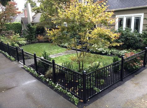 Short Fence, Yard Privacy, Pool Stuff, Black Fence, Privacy Fence Designs, Front Fence, Brick Fence, Small Front Yard, Wrought Iron Fences