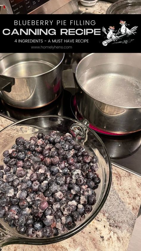 canning, blueberry recipe, blueberry pie filling, recipe, homemade pie, homesteading Recipe For Blueberry Pie, Frozen Blueberry Pie, Blueberry Pie Filling Recipes, Easy Blueberry Desserts, Berry Pie Filling, Blueberry Recipe, Homemade Blueberry Pie, Lemon Cupcake Recipe, Easy Canning