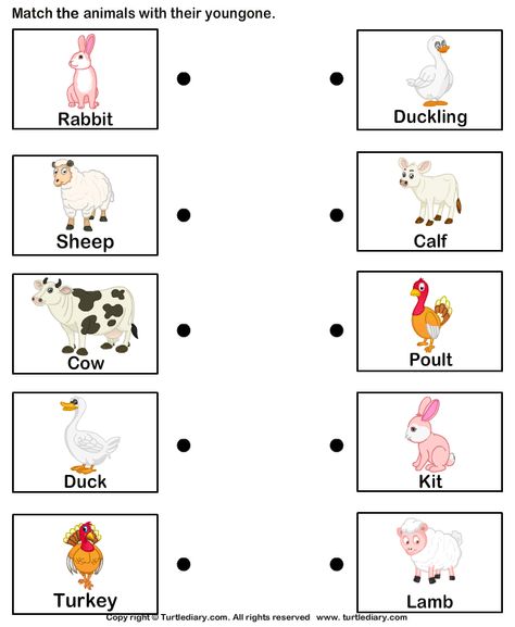 baby animal matching Animals And Their Homes, Farm Animals Preschool, Mother And Baby Animals, Farm Animals Activities, Animal Worksheets, Baby Farm Animals, Worksheet For Kids, Kindergarten Science, Animal Activities