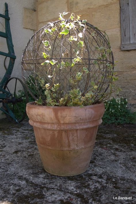 Ivy Topiary, Topiary Diy, Garden Spheres, Month Of May, Garden Containers, Garden Yard Ideas, French Garden, Garden Structures, Garden Cottage