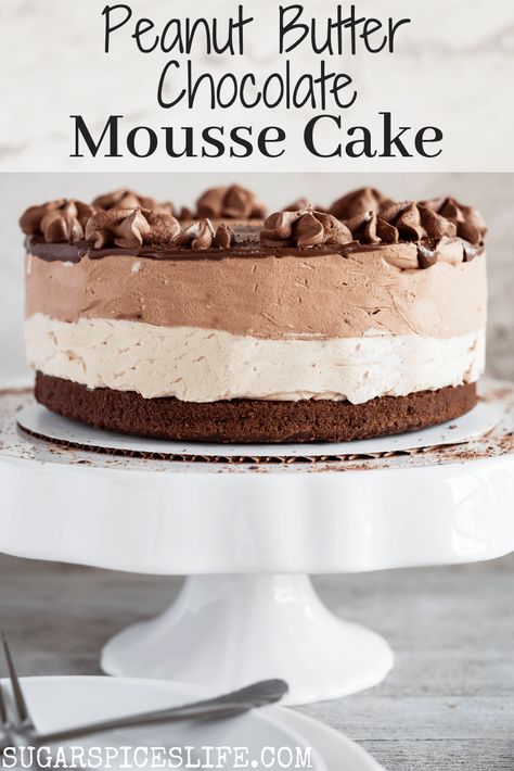 Peanut Butter Chocolate Mousse, Dense Chocolate Cake, Moose Cake, Chocolate Mousse Cake Recipe, Chocolate Peanutbutter, Cake Mousse, Mousse Chocolate, Mousse Cake Recipe, Mousse Cakes