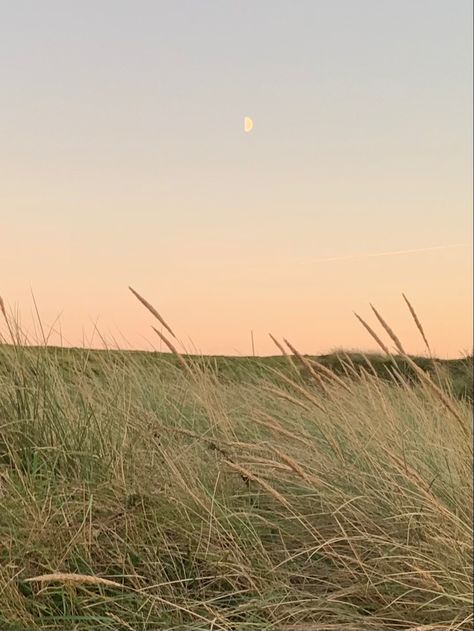 Winter Sunset, Green Landscape, Nature Aesthetic, Pretty Places, Green Aesthetic, Aesthetic Photo, Happy Places, The Great Outdoors, Aesthetic Pictures