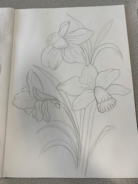 Dafodill Flowers Drawing, Daffodils Drawing, Daffodil Drawing, Soccer Drawing, Draw When Bored, Flower Art Drawing, Graffiti Style Art, Flower Sketches, Art Diary