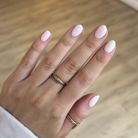 Short Oval Nail Designs, Oval Nail Ideas, Basic Nail Ideas, Short Oval Nails, Basic Nail, Oval Nail, Oval Nails Designs, Nails Birthday, Milky Nails