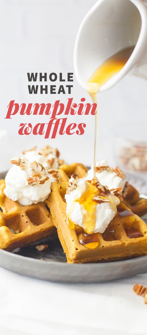 Wheat Waffles, Pumpkin Waffles Recipe, Whole Wheat Waffles, Pumpkin Waffles, Pumpkin Pancakes, Fall Breakfast, Best Breakfast Recipes, Vegan Pumpkin, Delicious Pumpkin