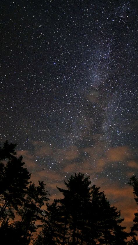 Dark Wood Wallpaper, Whats Wallpaper, Night Sky Photography, Sky Stars, Christmas Wallpaper Backgrounds, Christmas Aesthetic Wallpaper, Night Sky Wallpaper, Look At The Sky, Pretty Sky