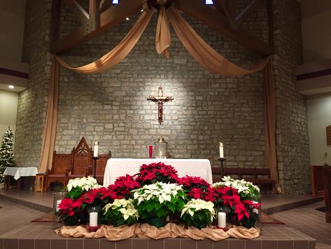 St. Joan of Arc Catholic Church, Powell OH. Christmas decorations, 2014. Advent Church Decorations, Sanctuary Decor, Church Christmas Decorations, Church Altar Decorations, Altar Design, Altar Flowers, Christmas Church, Church Flower Arrangements, Church Stage Design