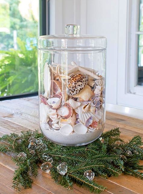 Shells In Jars Display, Seashells In A Jar, Large Seashell Display Ideas, Displaying Shells, Seashell Jar, Collection Display Ideas, Seashell Aesthetic, Display Shells, Seashell Display