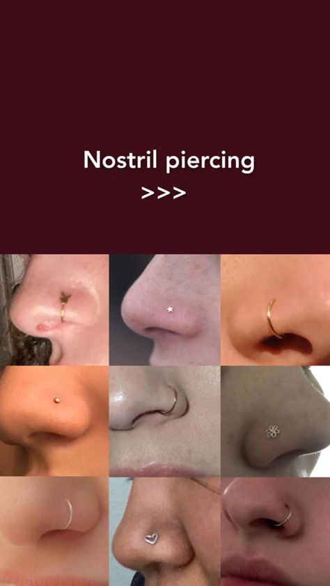 Should I Get A Nose Piercing, Nose Peirce Chart, Nose Piercing Placement Chart, Nose Piercing Placement, Cute Nose Piercings, Nostril Piercing, Belly Button Piercing Jewelry, Nose Piercing Stud, Cool Ear Piercings