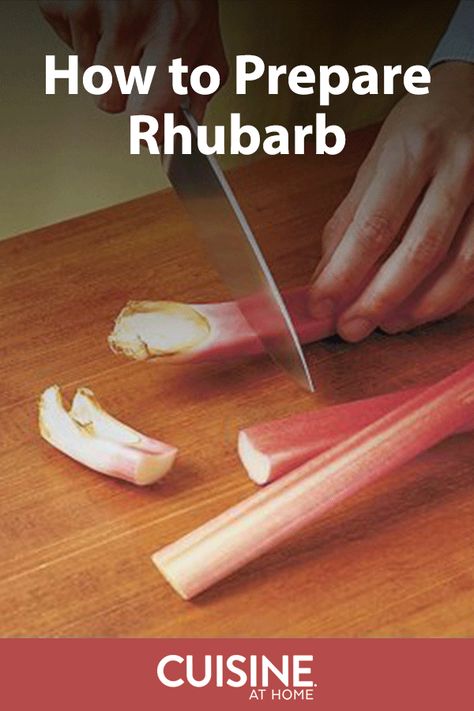 Freezing Rhubarb How To, Rhubarb Shrub Recipe, Health Benefits Of Rhubarb, How To Cook Rhubarb, Rhubarb Leaves Uses, Winterizing Rhubarb, Best Rhubarb Recipes, Freeze Rhubarb, How Much Sugar