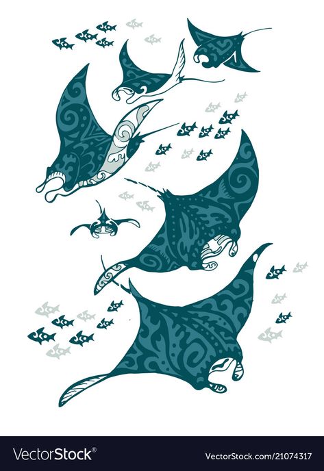 Manta Ray Art, Ray Tattoo, Shark Tattoos, Manta Ray, Surf Art, Marine Animals, Fish Art, A Tattoo, Sea Animals