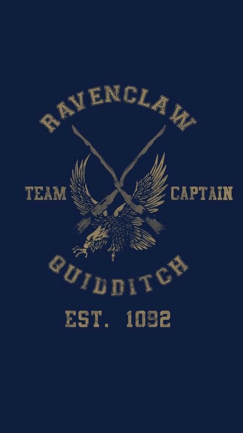 Fan Art Harry Potter, Ravenclaw Quidditch, Art Harry Potter, Ravenclaw Pride, Ravenclaw Aesthetic, Harry Potter Background, Theme Harry Potter, Harry Potter Ravenclaw, Images Harry Potter