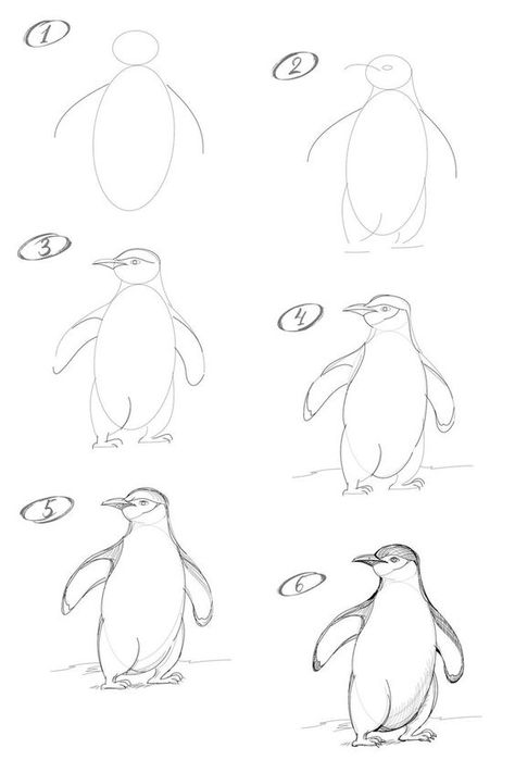 Penguin Drawing Easy, Draw A Penguin, Animal Sketches Easy, Penguin Drawing, Animal Drawings Sketches, Emperor Penguin, Cool Pencil Drawings, Sketches Tutorial, Drawing Tutorial Easy