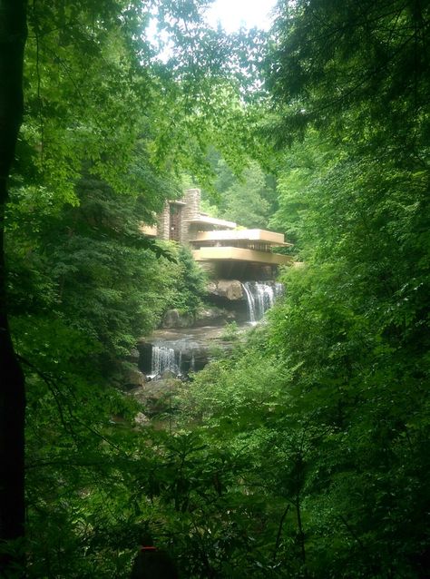 Falling Water Frank Lloyd Wright, Pittsburgh Pennsylvania, Rich Family, Frank Lloyd Wright, Pittsburgh, Travel Tips, Forest, Water, Architecture