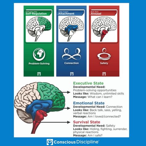 Brain States, Conscious Discipline, Conscious Parenting, Smart Parenting, Self Regulation, Social Stories, Gentle Parenting, Preschool Classroom, Social Emotional Learning