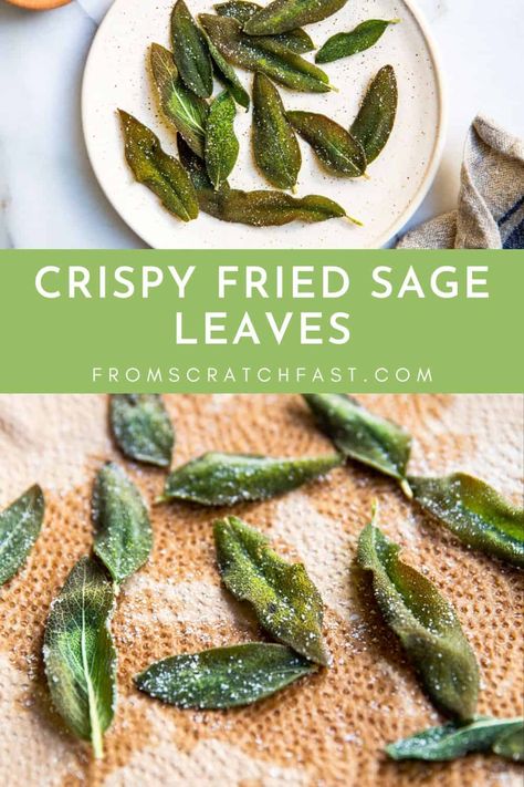 These crispy fried sage leaves are an easy garnish for pastas, salads, meats, fish, cheese boards and more! They’re also a delicious snack all on their own. They have a wonderfully mild, herbal flavor with a crunchy texture. You only need three ingredients! Air Fried Spinach Crispy, Recipes With Sage Leaves, Crispy Fried Squash, Sage Chips, Fried Basil Leaves, How To Freeze Sage Leaves, Fried Sage Leaves Recipe, Fried Sage Leaves, Crispy Sage Leaves