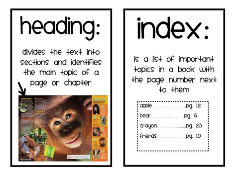 Buggy for Second Grade: Text Feature Freebie Text Features First Grade, Nonfiction Text Features Activities, Text Feature Anchor Chart, Nonfiction Text Features Anchor Chart, Reading Nonfiction, Second Grade Reading, Nonfiction Text Features, First Grade Phonics, 2nd Grade Writing