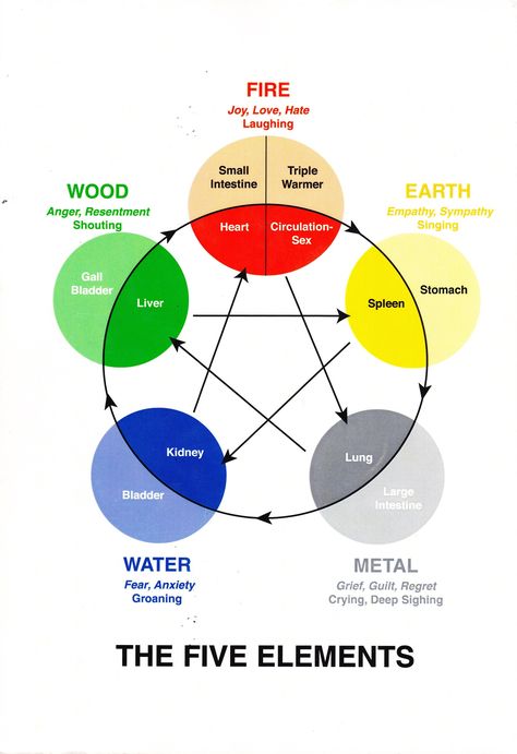 Horsham Holistic Practitioner - Kinesiology, Reiki & Touch For Health Lung Meridian, Heart Circulation, Element Chart, The Five Elements, Holistic Practitioner, Five Elements, Holistic Therapies, Spirit Science, Healing Touch