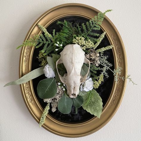 Animal Skull Decor, Raccoon Skull, Oddities Decor, Taxidermy Decor, Skull Crafts, Taxidermy Art, Bone Crafts, Dark Home Decor, Witchy Crafts