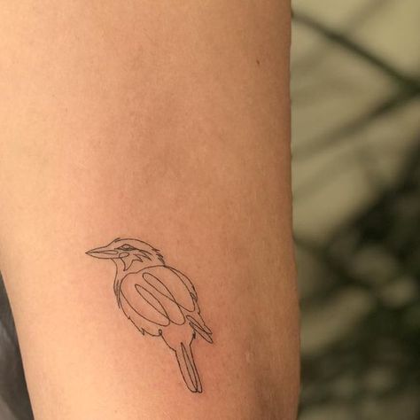 Josh Marx on Instagram: "Custom kookaburra for the lovely @thisandthatandcat_ 🙏🏽😊🙏🏽 stoked with how this came out. Thanks for coming in 🙏🏽 done @thetattoogardensydney" Australian Traditional Tattoo, Cookabura Tattoo, Kookaburra Tattoo Fine Line, Galah Tattoo, Kenya Tattoo, Fine Line Animal Tattoos, Australian Tattoo Ideas, Australia Tattoo Ideas, Kookaburra Tattoo