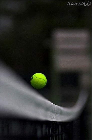 Tennis Astethic Wallpaper, Tennis Wallpaper, Tennis Photography, Tennis Pictures, Tennis Art, Tennis Aesthetic, Tennis Party, Ball Aesthetic, Color Splash Photography