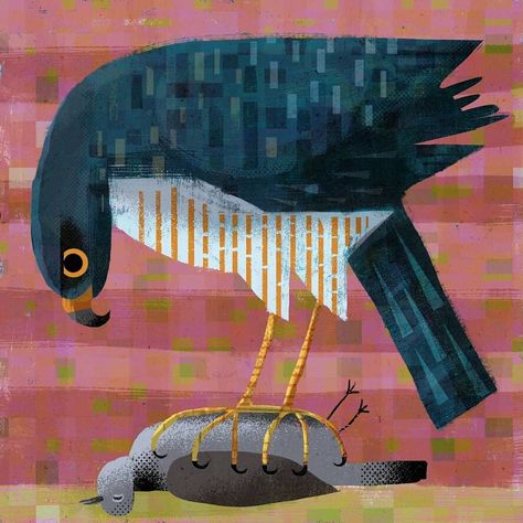 Gareth Lucas on Instagram: “I like Photoshop and I like Illustrator….but which one is better!?! ....When I was teaching I used to get asked that question a lot. I…” Pigeon Illustration, Collagraph Printmaking, Sparrowhawk, Illustration Photoshop, Central Saint Martins, Photoshop Brushes, A Question, Draw Drawing, Living Design