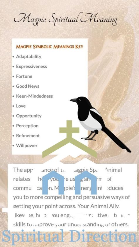 Unlocking the Spiritual Meaning of Magpie: A Reflection on Symbolism and Wisdom Magpie Spiritual Meaning, Magpie Meaning, Magpie Symbolism, Native American Traditions, Western Philosophy, Vastu Tips, Chinese Words, Spiritual Messages, Embrace Change