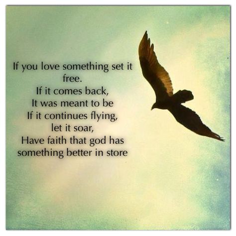 If you love something set it free. If it comes back It was meant to be If it continues flying, let it soar,  Have faith that god has something better in store Set It Free If It Comes Back, If You Love Something Set It Free, Set It Free, Creative Date Night Ideas, Heart Inspiration, True Fact, My Twin Flame, God Is So Good, My Life Quotes