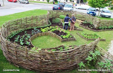 Geder House Keyhole Community Garden, Lendava, Slovenia. Garden Sitting Areas, Keyhole Garden, Seaside Garden, Garden Plots, Back Garden Design, Garden Solutions, Coastal Gardens, Community Garden, Low Maintenance Landscaping