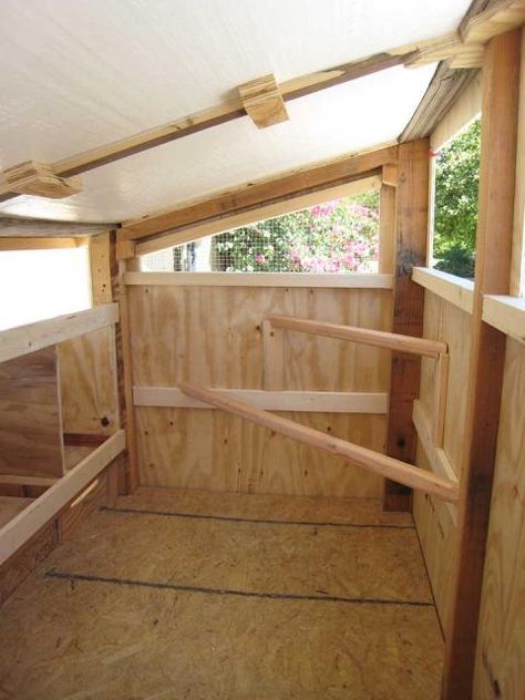 coopinterior How To Build Nesting Boxes For Chickens, Coop Color Ideas, Chicken Coop Pallets, Small Chicken Coops, Chicken Coop Garden, Easy Chicken Coop, Chicken Shed, Backyard Chicken Coop Plans, Diy Chicken Coop Plans