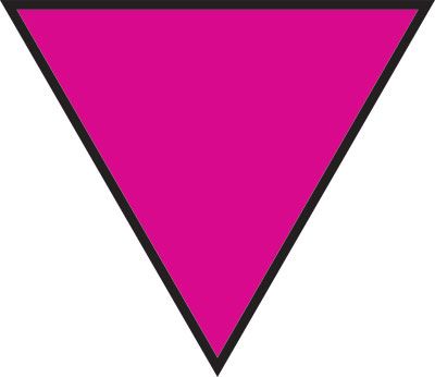 My Insignia Pink Triangle Tattoo, Pink Triangle, Gay Flag, Equal Rights, Basic Shapes, The Pink, I Tattoo, The History, Iceland