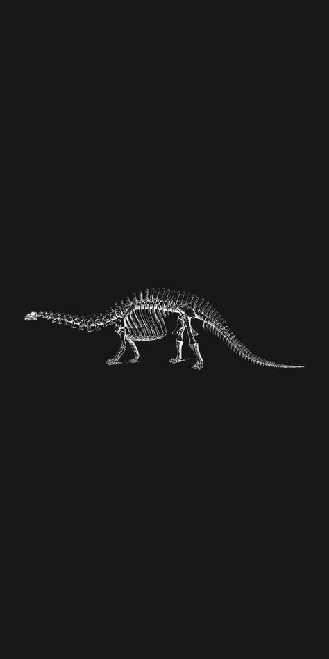 Computer Wallpaper Dinosaur, Dinosaur Skeleton Wallpaper, Cool Dinosaur Wallpaper, Dinosaur Fossil Wallpaper, Dinosaur Widget, Fossil Wallpaper, Dinosaur Backgrounds, Raptor Wallpaper, Swaggy Wallpapers