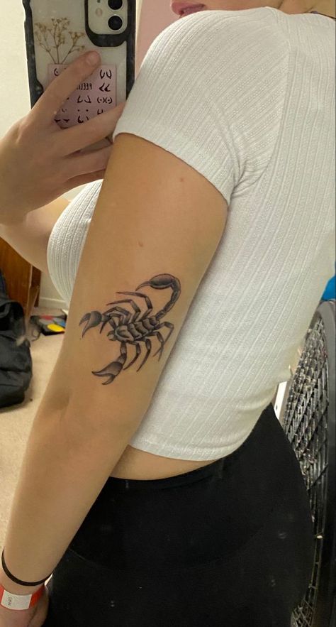 Scorpio Arm Tattoo, Scorpio Arm Tattoos For Women, November Scorpio Tattoo, Scorpio Tattoo Arm, Scorpion Tattoo Feminine Arm, Scorpion Arm Tattoo, Scorpio Tattoo Designs Feminine, Scorpio Back Tattoo, Scorpion Tattoo Design For Women