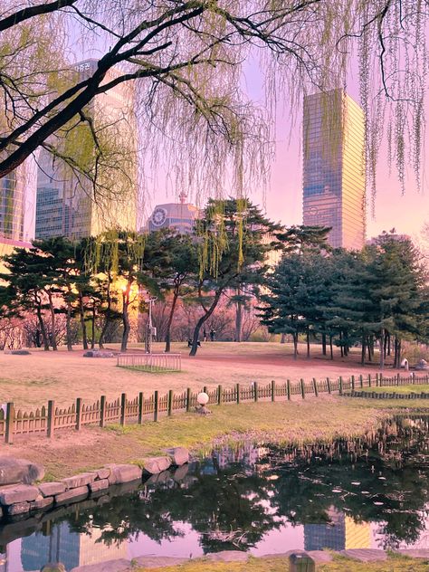 Yeouido Park, Spring In Seoul, Korea Vision Board, Peach Blossoms, Vacation Trips, Seoul, 1 Year, South Korea, Jay