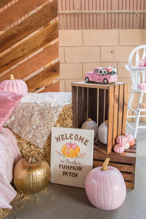 Diy Pumpkin Birthday Decor, Sunflower And Pumpkin Birthday Party, Fall One Birthday Party, Girly Fall Birthday Party, Pink Pumpkin First Birthday Girl, Pink Pumpkin Patch Birthday Party, Lil Pumpkin Birthday Party, 2nd Birthday Pumpkin Theme, Outside 1st Birthday Party Ideas