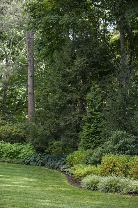 Organic shaped planting beds planted densley with native plantings is the perfect back drop to this New England backyard. Fairy Garden Tattoo, Secret Garden Aesthetic, Garden Tattoo Sleeve, Wooded Backyard Landscape, New England Garden, Evergreen Landscape, Natural Landscaping, Landscaping Design Ideas, Evergreen Garden