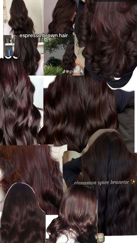 Cherry Brown Hair, Cherry Hair Colors, Red Hair Inspiration, Curly Hair Care Routine, Hair Color Chocolate, Brown Hair Looks, Cherry Hair, Brown Hair Inspo, Hair Tint