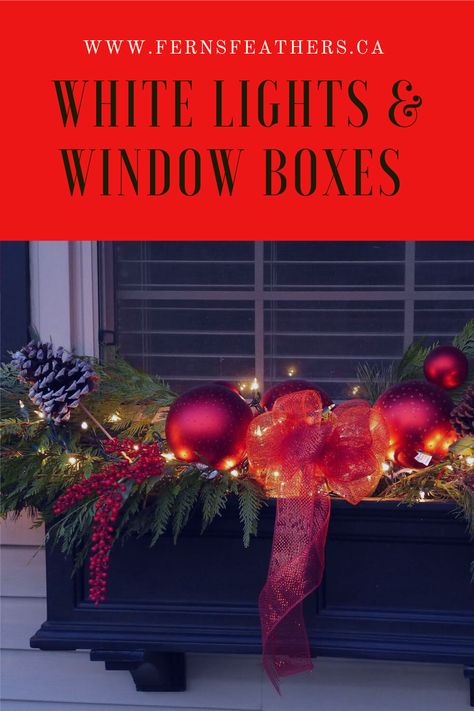 Dressing up your window boxes is both fun and rewarding. Start with small white lights and winter greens and add your favourite thrillers to create your own designs. Flickering candles, glowing bobbles, the choices are endless. Holiday decorating | window boxes | Christmas decor | white lights | fairy lights | holiday decor | natural decorating | holiday decorating ideas | decorating the outdoors for the holidays #holidaydecor #windowboxdecor Christmas Windowbox Ideas, Window Box Ideas For Christmas, Window Box Christmas Decor, Window Christmas Decor Ideas Outdoor, Window Box Christmas Ideas, Window Boxes For Christmas, Christmas Window Boxes Outdoor, Holiday Window Boxes, Winter Window Box Ideas